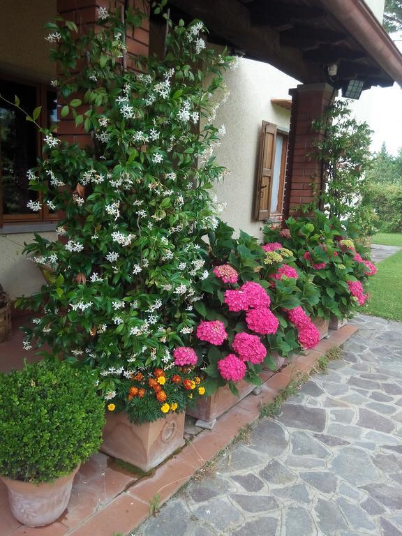 Da Ronald ... A Pian Del Papa Guest House Pratovecchio Eksteriør bilde