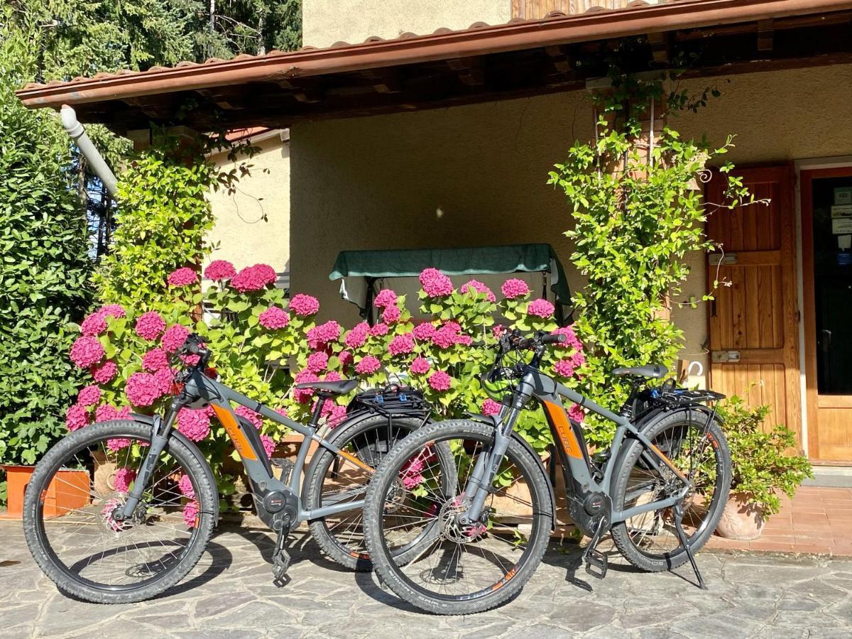 Da Ronald ... A Pian Del Papa Guest House Pratovecchio Eksteriør bilde